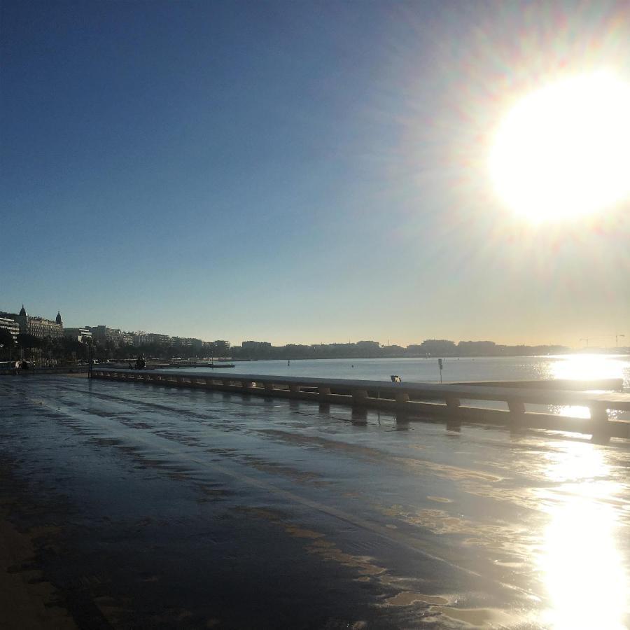 T2 Proche De La Gare, A 10 Minutes A Pieds De La Croisette, Piscine & Parking Dans Residence De Haut Standing 戛纳 外观 照片